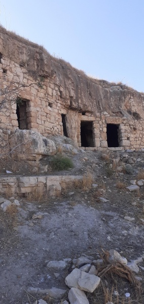 קובץ:2021-09-22T16 16 54.481914784115.jpg