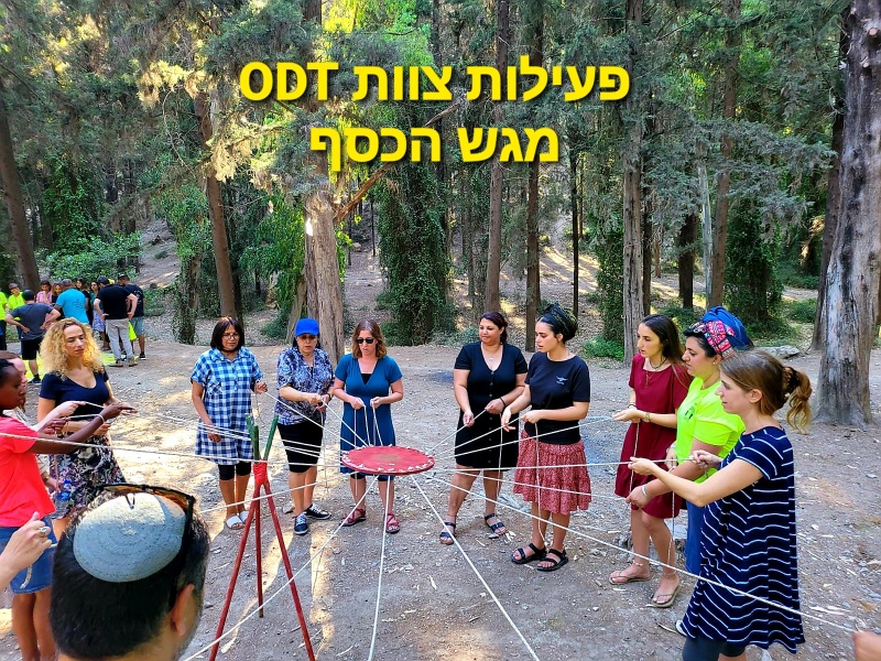 קובץ:2021-09-23T15 45 47.406251207206.jpg