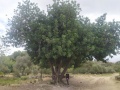 תמונה ממוזערת לגרסה מתאריך 09:24, 24 בספטמבר 2021