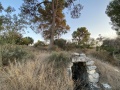 תמונה ממוזערת לגרסה מתאריך 15:19, 4 באוקטובר 2021