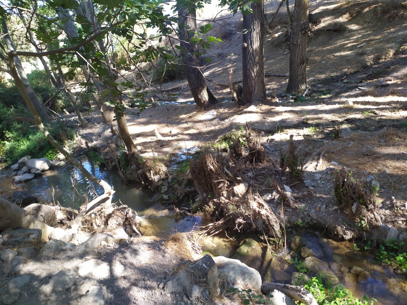 קובץ:2021-10-06T10 20 12.462067402185.jpg