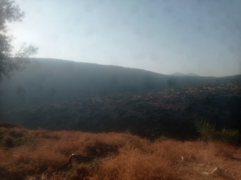 קובץ:2021-10-11T16 45 09.697424733385.jpg