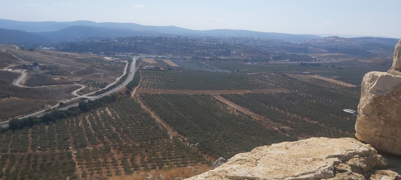 קובץ:2021-10-23T13 16 16.064793270613.jpg
