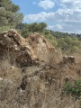 תמונה ממוזערת לגרסה מתאריך 10:56, 23 באוקטובר 2021