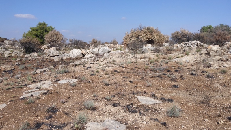 קובץ:2021-10-25T11 31 15.707501983505.jpg