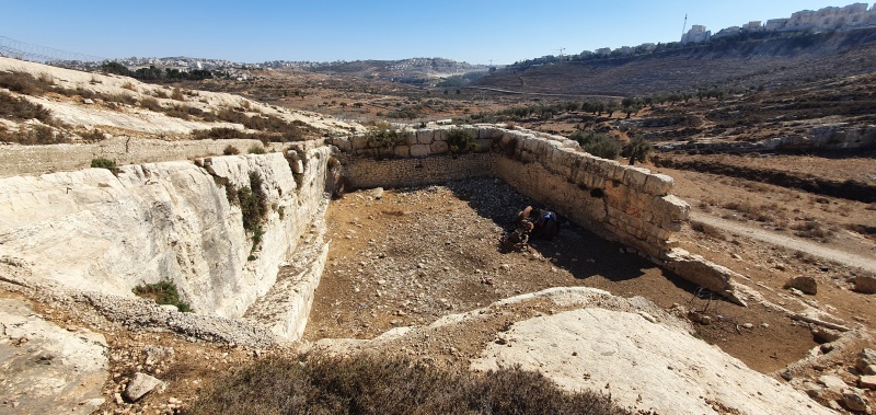 קובץ:2021-11-09T12 33 15.037957573121.jpg