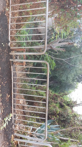 קובץ:2021-11-22T14 55 13.279350815653.jpg
