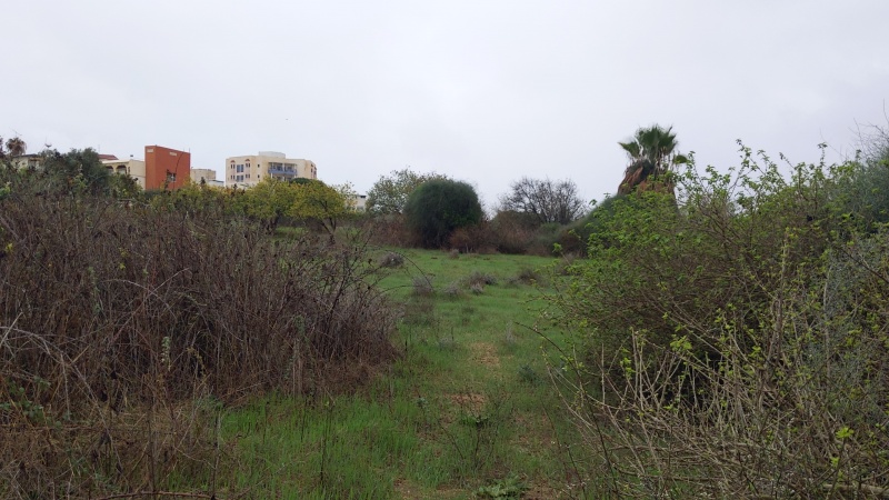 קובץ:2021-12-01T09 33 11.035940819483.jpg