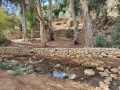 תמונה ממוזערת לגרסה מתאריך 16:28, 5 בדצמבר 2021