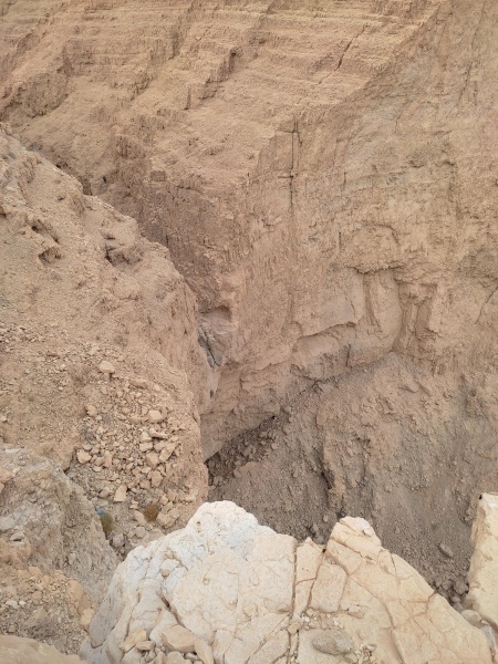 קובץ:2021-12-06T13 42 14.855403315956.jpg