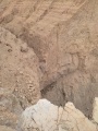 תמונה ממוזערת לגרסה מתאריך 18:01, 6 בדצמבר 2021