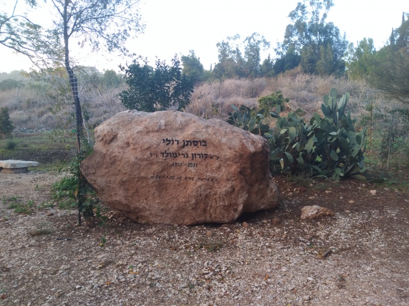 קובץ:2021-12-09T17 27 01.866494587081.jpg