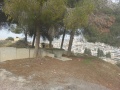 תמונה ממוזערת לגרסה מתאריך 12:05, 12 בדצמבר 2021