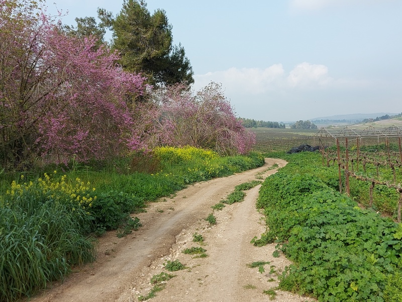 קובץ:20210316 082402.jpg