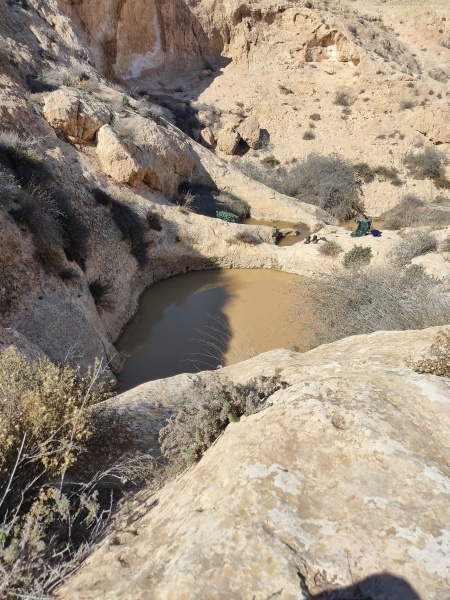 קובץ:2022-01-06T11 31 29.60130113007.jpg