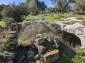 תמונה ממוזערת לגרסה מתאריך 10:37, 8 בינואר 2022