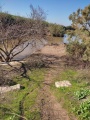 תמונה ממוזערת לגרסה מתאריך 10:52, 8 בינואר 2022