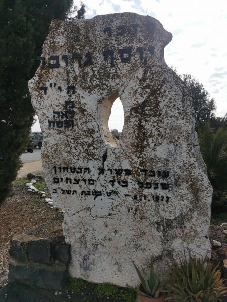 קובץ:2022-01-25T09 47 10.711766929624.jpg