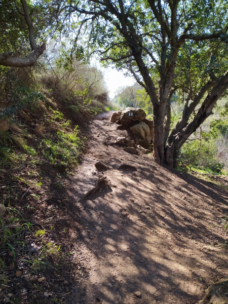 קובץ:2022-01-25T11 19 37.190955192734.jpg