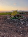 תמונה ממוזערת לגרסה מתאריך 14:40, 25 בינואר 2022