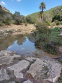 תמונה ממוזערת לגרסה מתאריך 11:37, 30 בינואר 2022