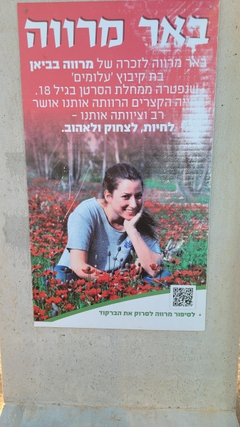 קובץ:2022-02-08T16 59 42.520903898287.jpg