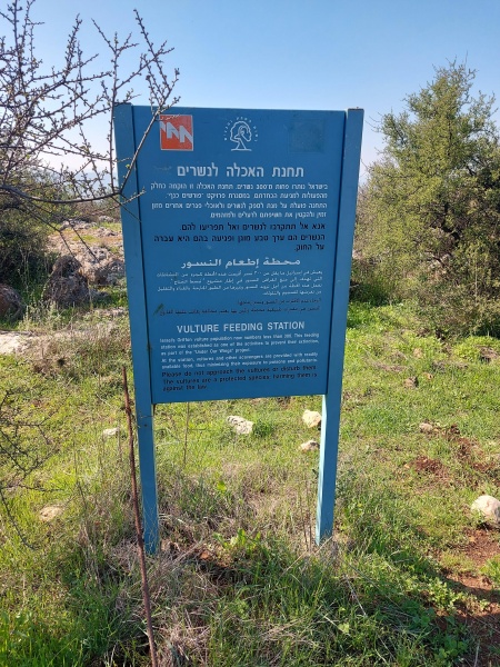 קובץ:2022-02-12T11 32 02.512704139045.jpg