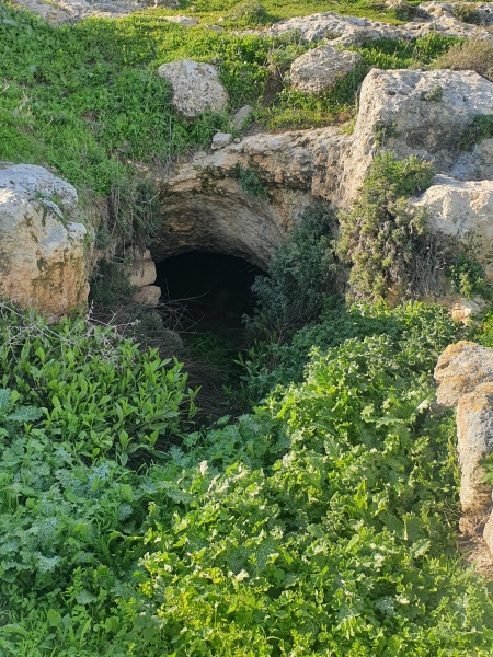 קובץ:2022-02-14T15 05 33.54273165254.jpg