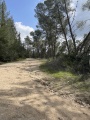 תמונה ממוזערת לגרסה מתאריך 10:45, 16 בפברואר 2022