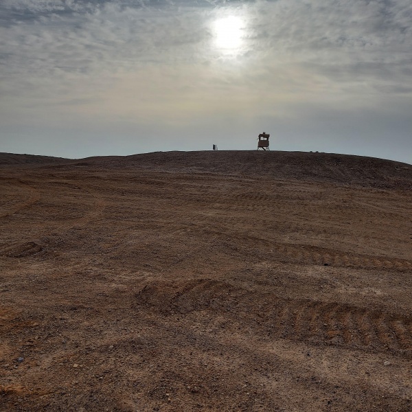 קובץ:2022-02-18T07 56 57.850394214655.jpg