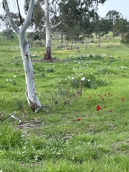 קובץ:2022-02-23T16 49 36.100363239939.jpg