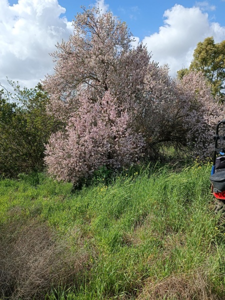 קובץ:2022-02-25T13 42 00.400987822514.jpg