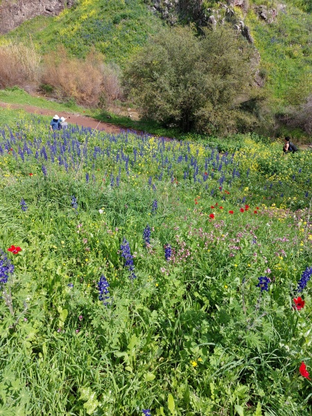 קובץ:2022-03-01T12 15 22.130937111950.jpg