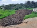 תמונה ממוזערת לגרסה מתאריך 11:50, 3 במרץ 2022