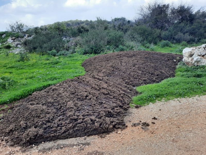 קובץ:2022-03-03T13 42 18.740811443743.jpg