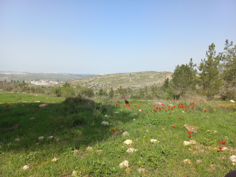 קובץ:2022-03-05T12 59 59.042777354368.jpg