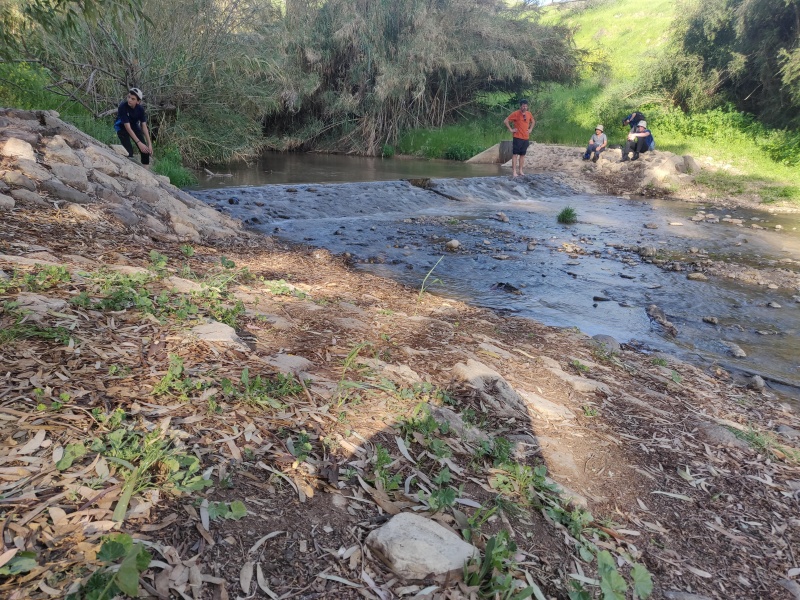 קובץ:2022-03-07T15 34 51.508543251055.jpg