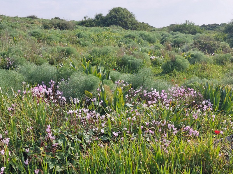 קובץ:2022-03-08T15 12 19.004566630461.jpg