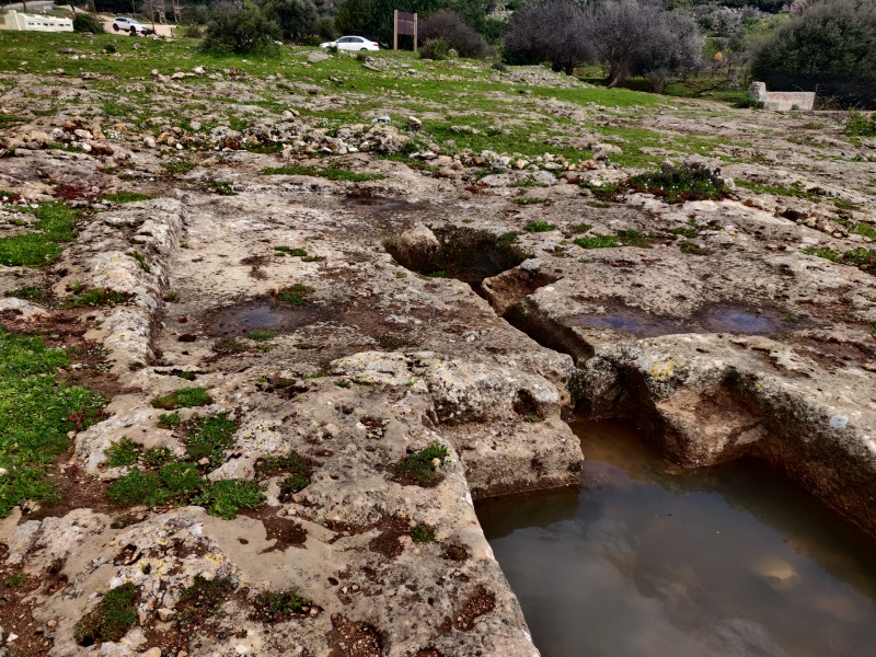 קובץ:2022-03-12T09 17 33.595136407251.jpg