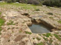 תמונה ממוזערת לגרסה מתאריך 14:30, 12 במרץ 2022