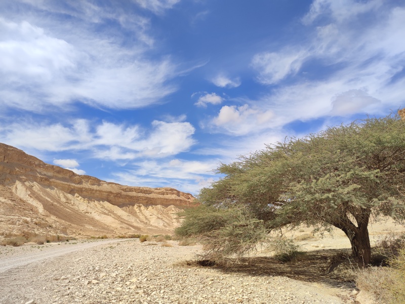 קובץ:2022-03-12T12 44 59.883851629387.jpg