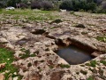 תמונה ממוזערת לגרסה מתאריך 10:54, 14 במרץ 2022