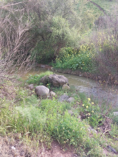 קובץ:2022-03-17T16 00 11.289584401001.jpg