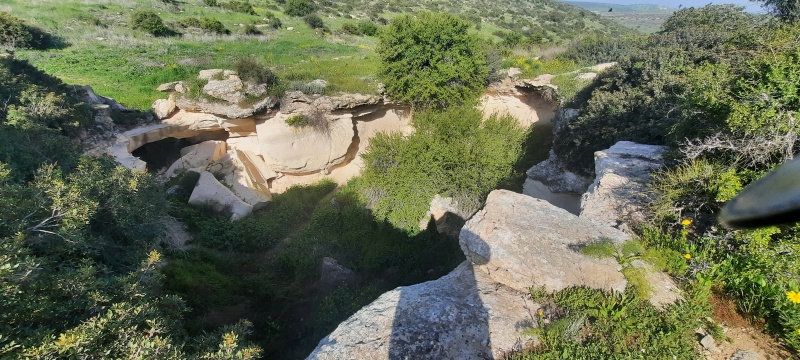 קובץ:2022-03-28T09 40 35.744394884851.jpg