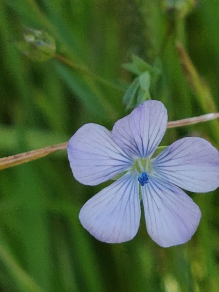 קובץ:2022-03-28T11 09 14.957519241957.jpg