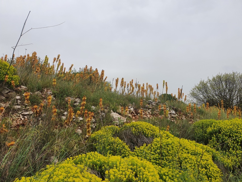 קובץ:2022-04-08T15 15 12.004882337999.jpg