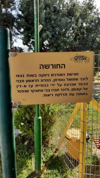 קובץ:2022-04-19T16 55 59.781179369996.jpg