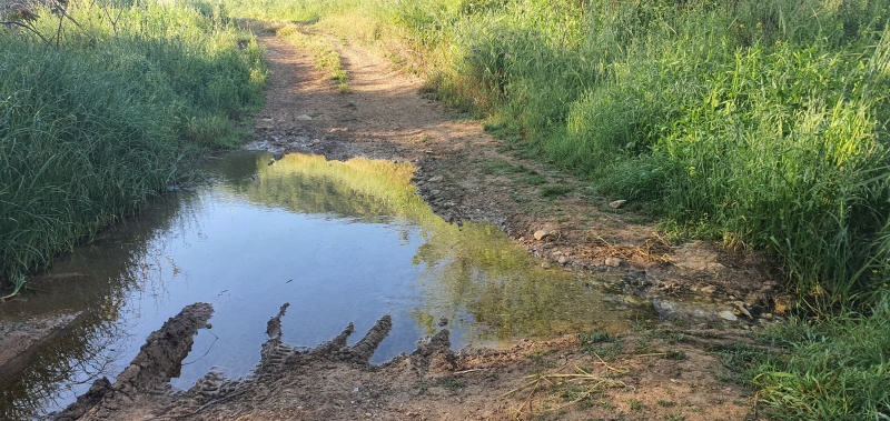 קובץ:2022-04-21T07 44 10.490691512619.jpg