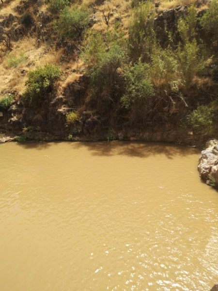 קובץ:2022-05-15T13 48 14.169557319740.jpg