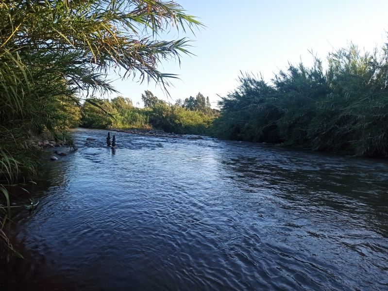 קובץ:2022-05-15T18 36 15.872892811482.jpg